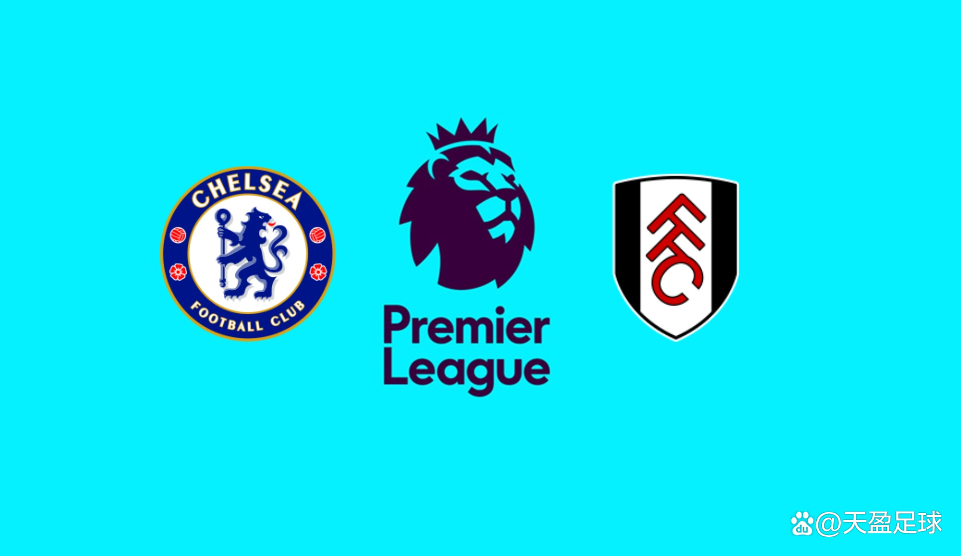 又伤了，对阵柏林联合时帕夫洛维奇的左大腿出现伤病